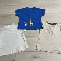 80 半袖シャツの画像