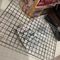 イワタニ　炉端焼き器　炙りや　の画像