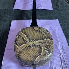 三味線　三線　さんしん
の画像