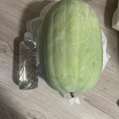 問い合わせあり　4.8キロ　野菜　冬瓜　　　　の画像