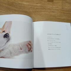 コーギー本☆のコギおてての画像