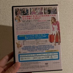 キューティーブロンド1&2 DVDセットの画像