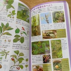 小学館の図鑑植物NEOPOKETの画像