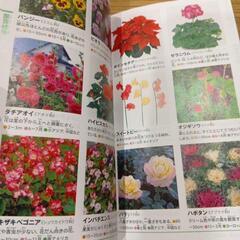 小学館の図鑑植物NEOPOKETの画像