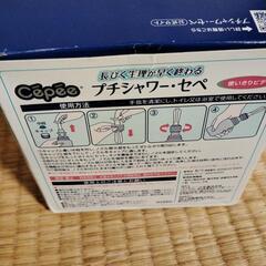プチシャワーセペ使いきりビデの画像