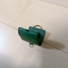 Mrs.GREENAPPLE イヤホンケースの画像