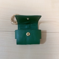 Mrs.GREENAPPLE イヤホンケースの画像