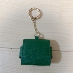 Mrs.GREENAPPLE イヤホンケースの画像