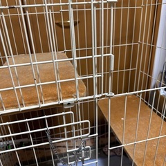 猫ゲージの画像