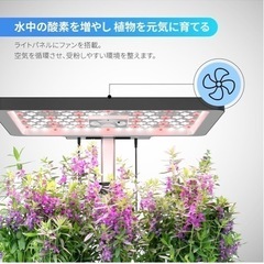 水耕栽培　本体　3台まとめて取引希望の画像