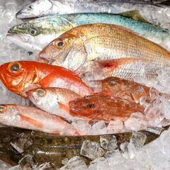 9月〜鮮魚・水産物の配送　軽冷蔵車　の画像