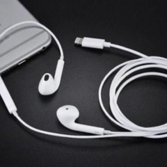 【Apple純正品】【新品未使用品】iPhone購入時のイヤホン②の画像