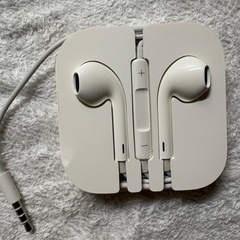 【Apple純正品】【新品未使用品】iPhone購入時のイヤホン④の画像