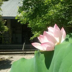 “大切な想い”お墓参り代行いたします