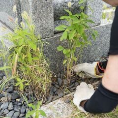 お墓参り代行 清掃 一部墓前読経いたします 関西圏 - その他