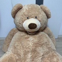 コストコのくま
の画像