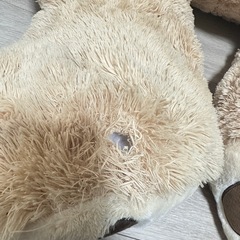 コストコのくま
の画像