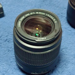 Canon キャノン 一眼レフカメラの画像