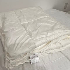ニトリ クイーン　掛け布団＆シーツセット【クリーニング済】の画像