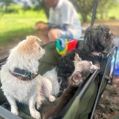 🐾犬🐶友達🐾募集だわん(U´Д`)ﾜﾝ