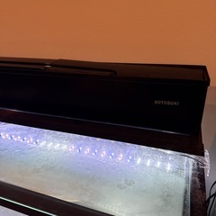 コトブキ　120cm水槽　セット　1200 大型魚　アロワナの画像