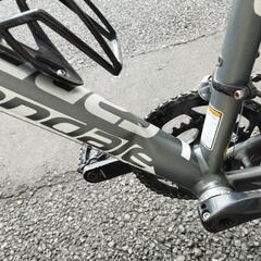 8/23まで Cannondale 軽量ロードバイク CAAD8 SORA 7 メンテ済の画像