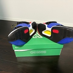 バッシュの画像