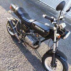 HONDA エイプ100　XR100エンジン FX仕様　