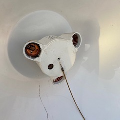 電気ソケット　笠の画像