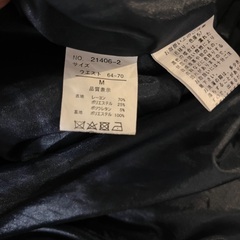 レディース ブルー フレアスカートの画像