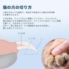 【新品】小型ペット用爪切り 猫 犬 初心者用 ストレスフリー 安全設計の画像