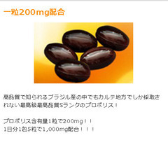 プロポリス1000 極 1000mgの画像