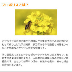 プロポリス1000 極 1000mgの画像