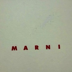 MARNI 水色 カードケース 専用袋付きの画像