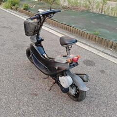 ホンダ ズーク zookの画像