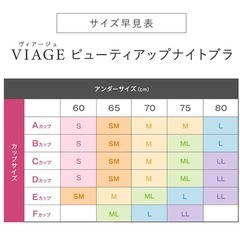 新品　L VIAGE ビューティアップナイトブラエアー　ピンク× ライトベージュの画像