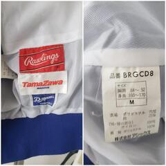 中日ドラゴンズ　M　ローリングス　Tamazawa　グランドコートの画像
