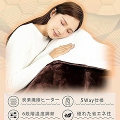 電気毛布 掛け敷き兼用 掛け 敷き 190×130cm 両面フランネル ブラウンの画像