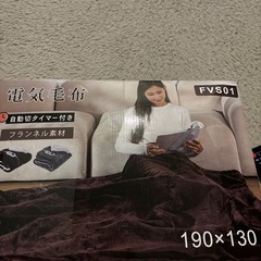 電気毛布 掛け敷き兼用 掛け 敷き 190×130cm 両面フランネル ブラウンの画像