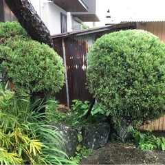 剪定、刈込み、草刈り、草むしりなど