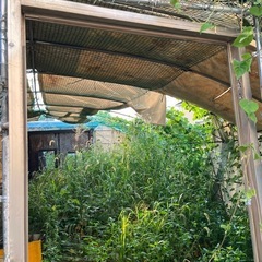 ビニルハウスの画像