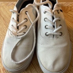POLO ラルフローレンスニーカー の画像