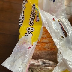 マナーおむつの画像