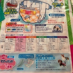 マナーおむつの画像