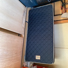 ペッドの画像