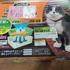 猫のオシッコ　花王トイレの画像