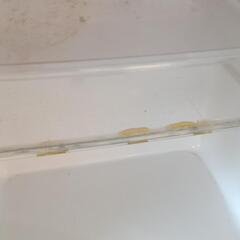 レトロな冷蔵庫の画像