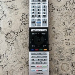 テレビ TOSHIBA  REGZA　50インチ 液晶不良の画像
