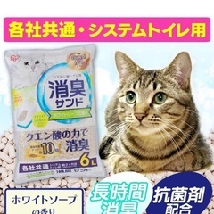 システムトイレ用 におわない消臭サンド 6L クエン酸入り ホワイトソープの香り
の画像