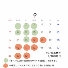理学療法士が教えるオンライン朝ヨガ教室　～初心者、身体の硬い人向け～　の画像